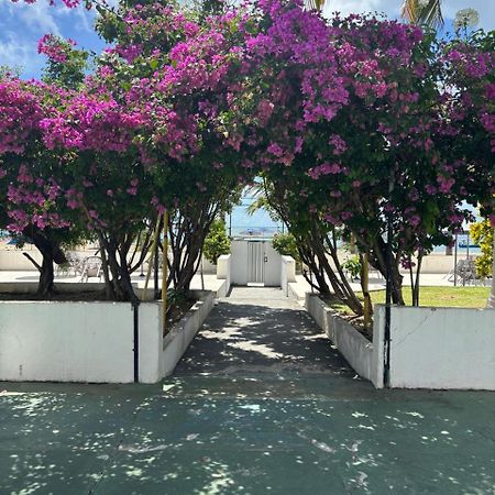 Apto 3 Quartos Pe Na Areia Prox De Récife Extérieur photo