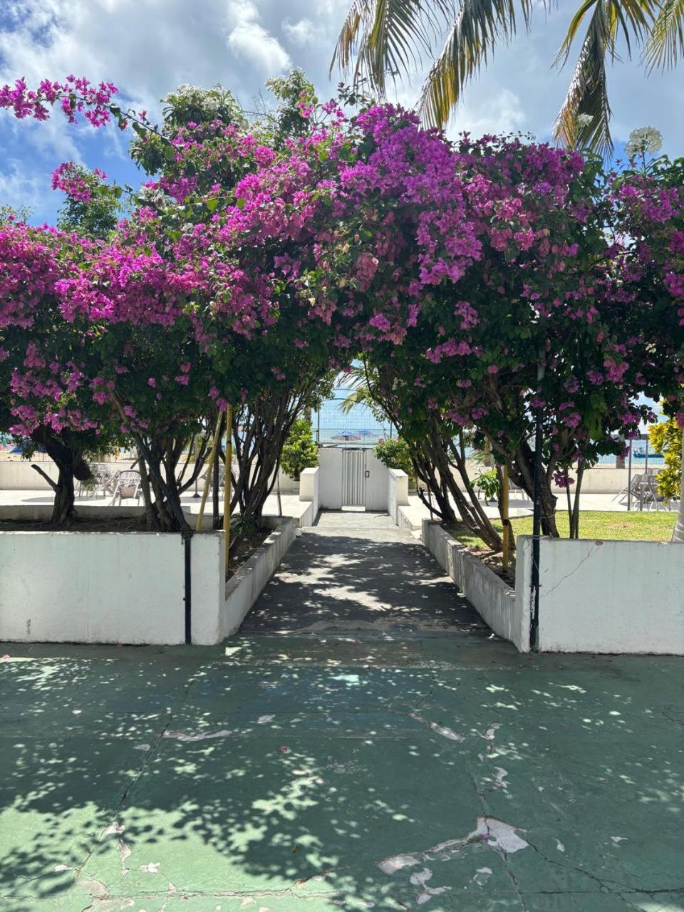 Apto 3 Quartos Pe Na Areia Prox De Récife Extérieur photo